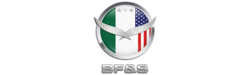 BFS_VisualMexico_Logo_1